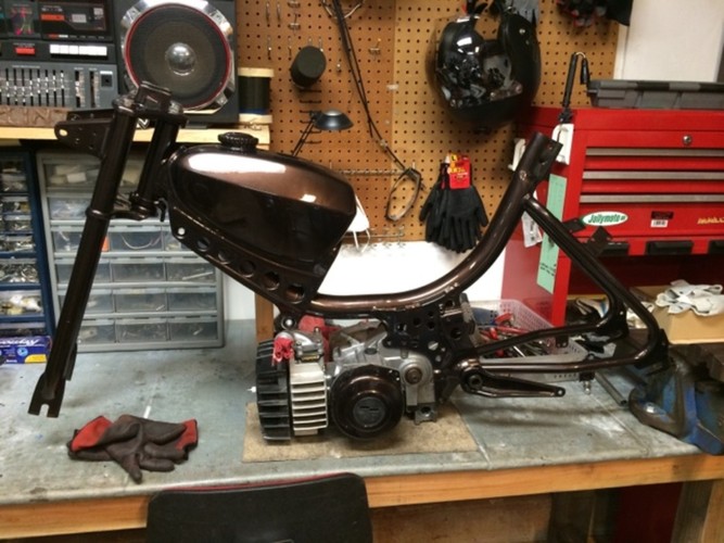 Puch Number 5 - 1980 Puch Maxi