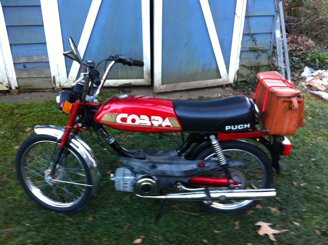 Fingolfin - 1984 Puch Cobra