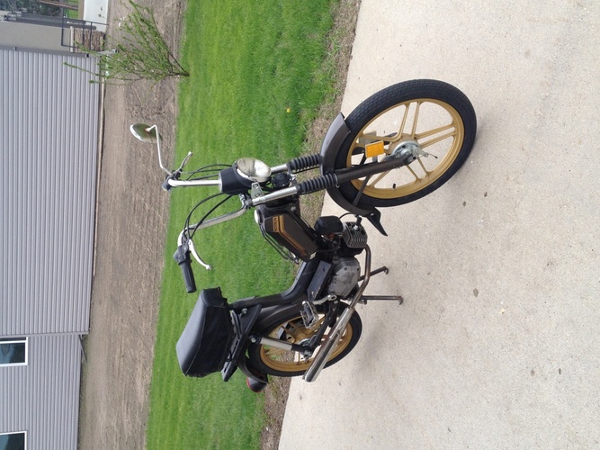 Italian Stallion - 1980 Motron Classic