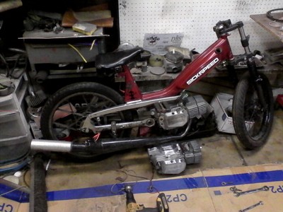 pucorinirellicane -  Motobecane 40T