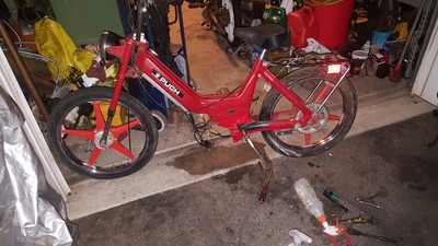 Gila maxi n - 1977 Puch Maxi N