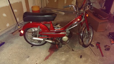 pretty moby - 1979 Motobecane 50VLC