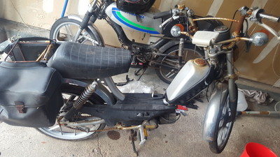 Puch time - 1978 Sears Free Spirit