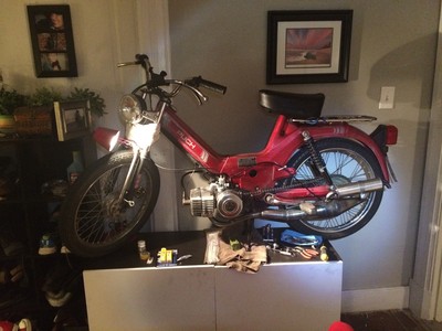 Ol Rosie - 1979 Puch Maxi