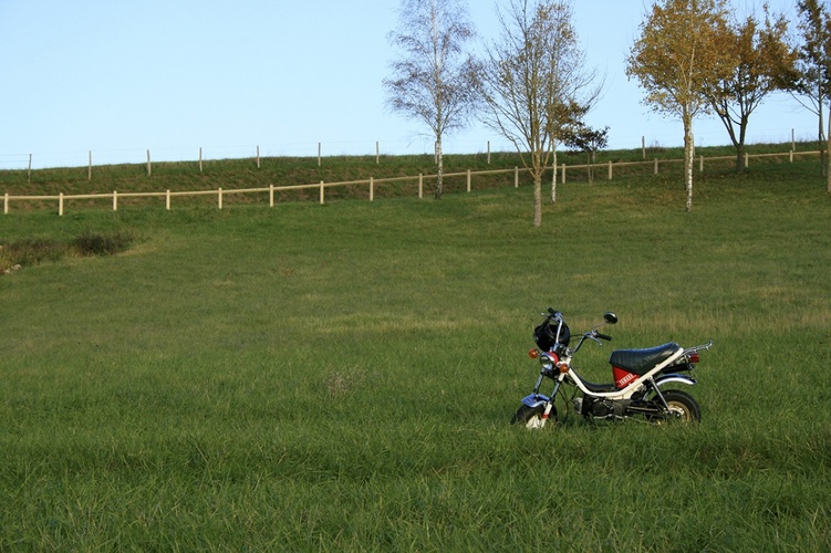 Yamaha Chappy 50 typ 543 - 1977 Yamaha LB-50 Chappy