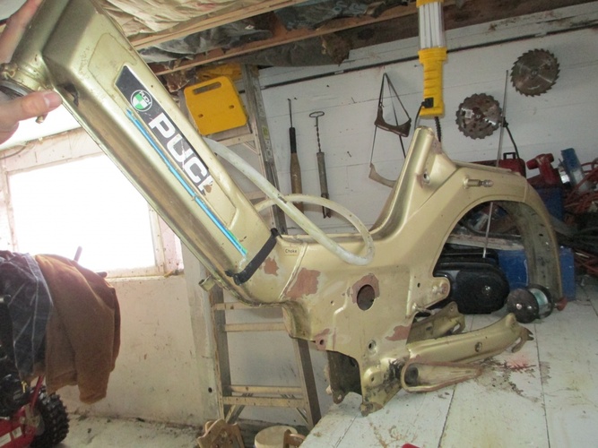  knuckles - 1978 Puch Maxi