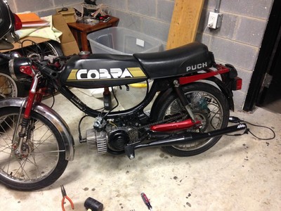 Le Cobra - 1984 Puch Cobra