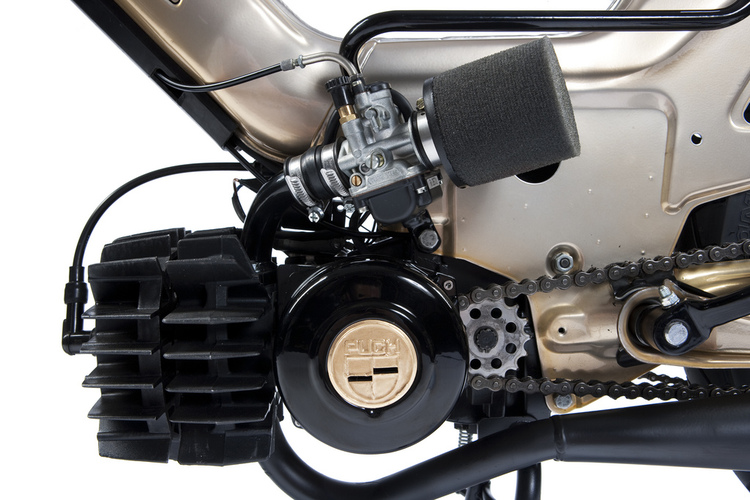 Black and Tan - 1977 Puch Maxi