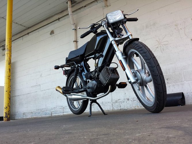 Elizabeth - 2012 Tomos LX