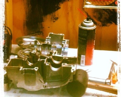 Rotten Apple - 1974 Puch Magnum X