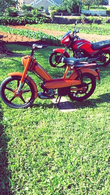 HIGH ANXIETY - 1988 Peugeot 103 MVL Vogue