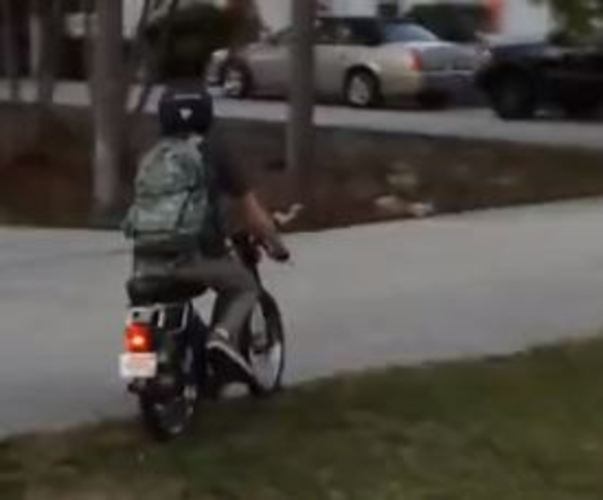 The Flying Hay Hawk - 1984 Puch Maxi Sport LS