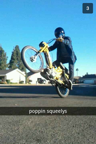 Grey - 1977 Puch Maxi