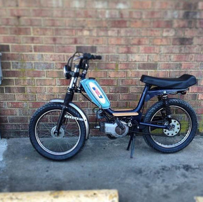 yankee doodle - 1977  