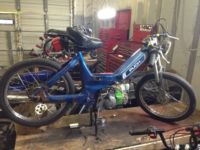 Ball buster  - 1977 Puch Maxi N