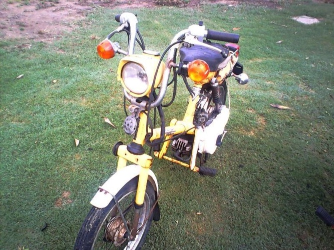 Expressssssssss - 1980 Honda Express NC50