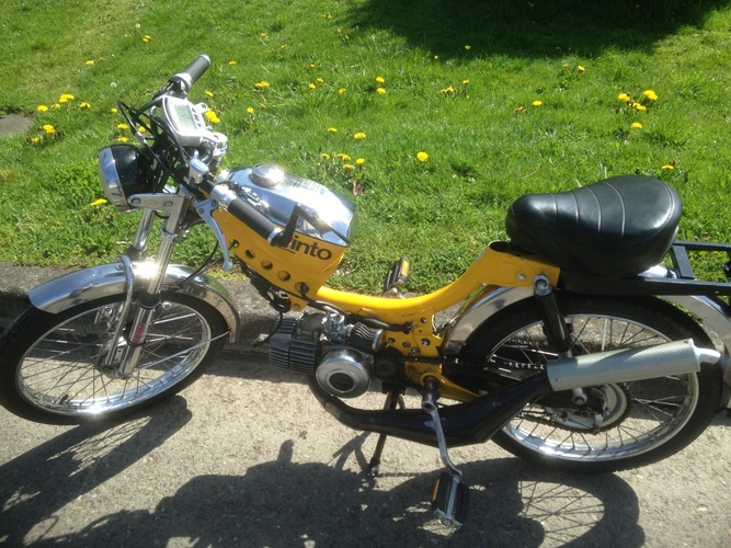 Puchy - 1977 J.C. Penney Pinto