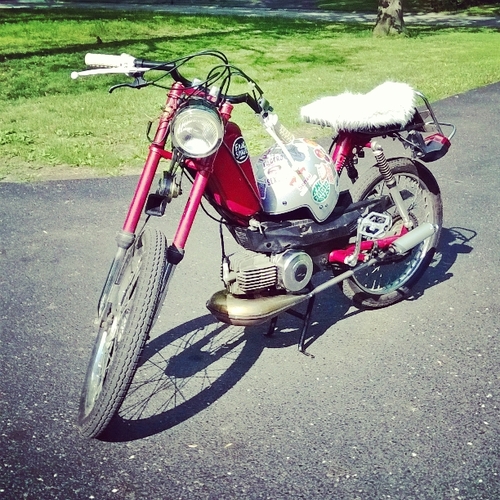 Senzu Bean - 1977 Sears Free Spirit