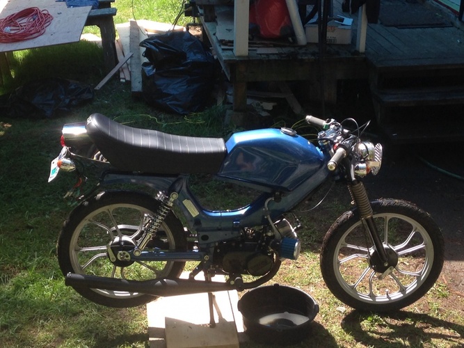 Bowen menace - 2000 Tomos Targa LX