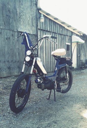 Optimus - 1976 Bianchi Snark Eagle Standard