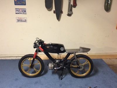 TWO STROKE DOG - 1987 Motomarina Sebring