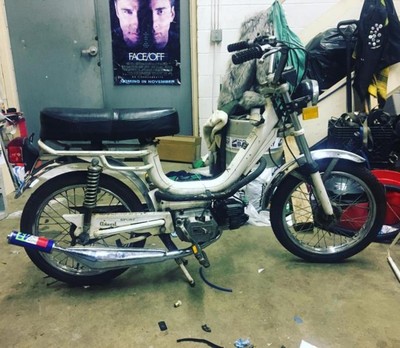 Spunky - 1978 Pacer Sport P-78