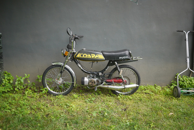 Happy Dog * Puch Cobra - 1984 Puch Cobra