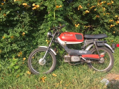 Cosmo Kramer - 1979 Cosmo Colt I