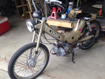 Honkey Kong - 1977 Puch Maxi