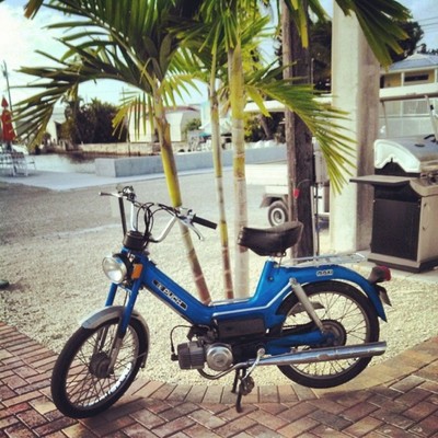 Just Another Maxi - 1977 Puch Maxi