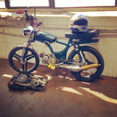 Pinned -  J.C. Penney Pinto