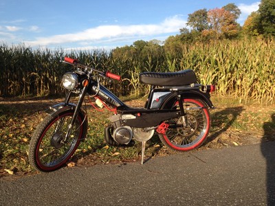 Misty the Motobecane - 1979 Motobecane 50V