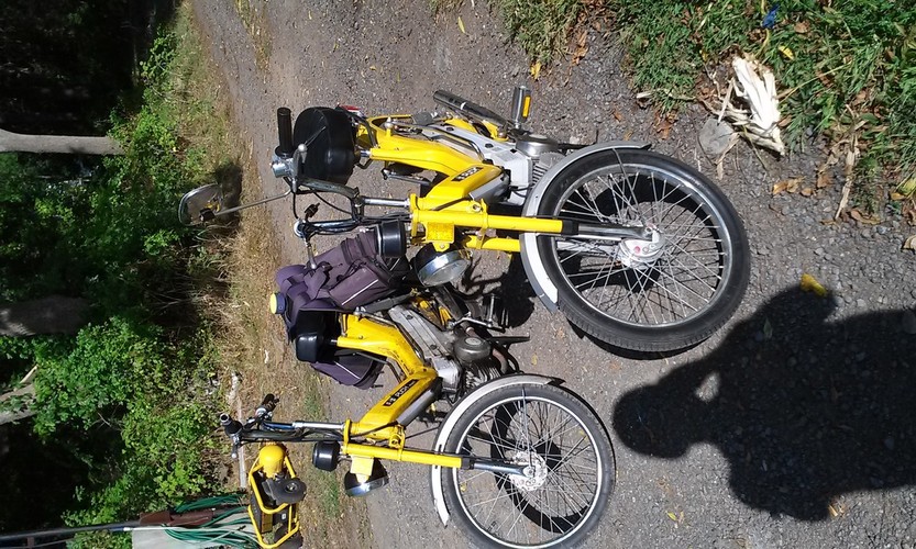 yellow jacket - 1976 Puch Maxi Bombardier