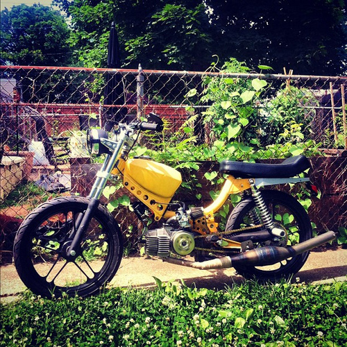 Mondo Trasho - 1978 J.C. Penney Swinger 2