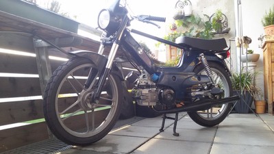 the italian stallion -  Puch P1