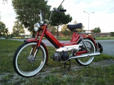 Primus Maximus - 1985 Puch Maxi S