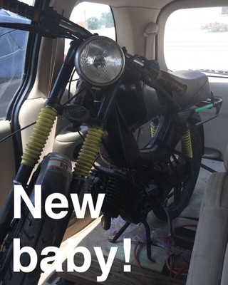 black Kat - 1995 Tomos Targa TTLX