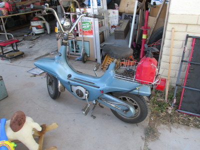 Hot Testi - 1976 Testi Amico