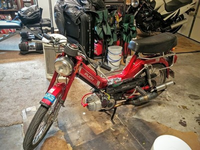 Cheryl - 1986 Puch Maxi Luxe