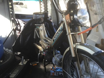 Putch! - 1979 Puch Maxi Luxe