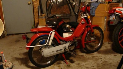scroat - 1978 Honda Hobbit