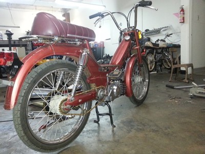 Elena*s Maxi - 1980 Puch Maxi