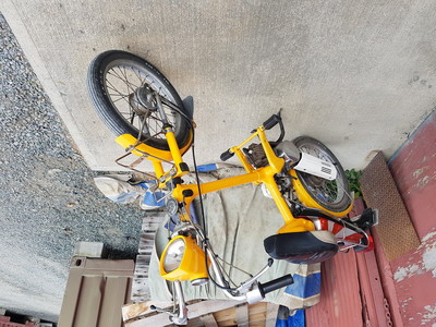 Honda Express NC50 - 1979 Honda NC50