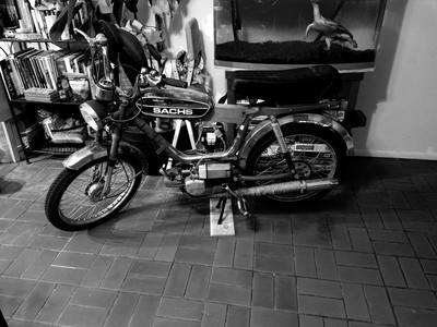 Sachs in the Head - 1977 Sachs Balboa