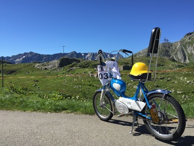 Schwalbe Sachs 503 *Chopper* - 1982 Sachs MadAss