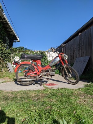 Coast cruiser - 1977 Foxi GT