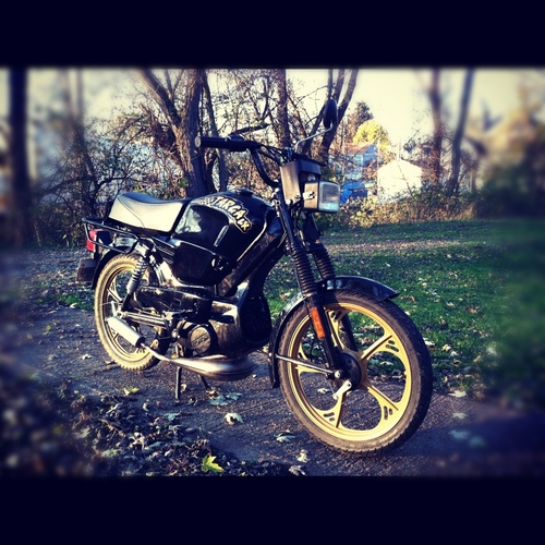 Daily driver - 2001 Tomos Targa LX