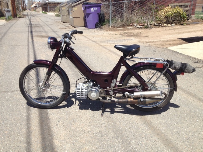 Danni's Maxi-N, aka  - 1976 Puch Maxi N