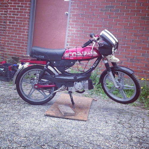 pinball wizard, aka pinball champion, aka cobra - 1985 Puch Cobra