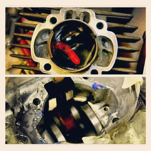 GNARellit - 1983 Honda Hobbit